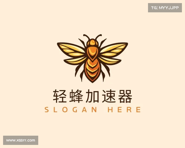 关于轻蜂加速器